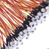 Diodo LED HAZ de luz 5mm, 9-12V, precableado