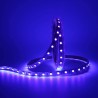 LED ULTRAVIOLETTA IP20 5050 SMD