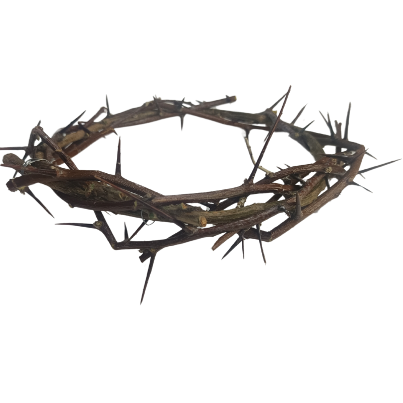 Corona di spine naturale