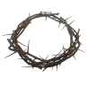 Corona di spine naturale