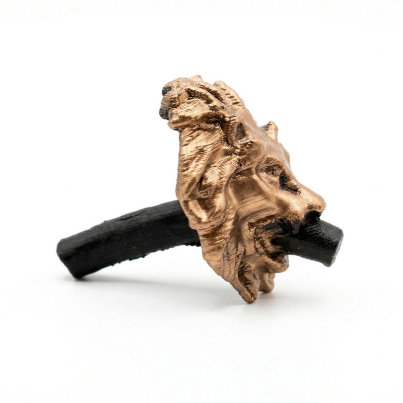 Caño cabeza de león