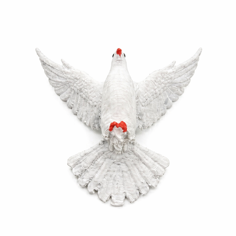 Colomba bianca Spirito Santo