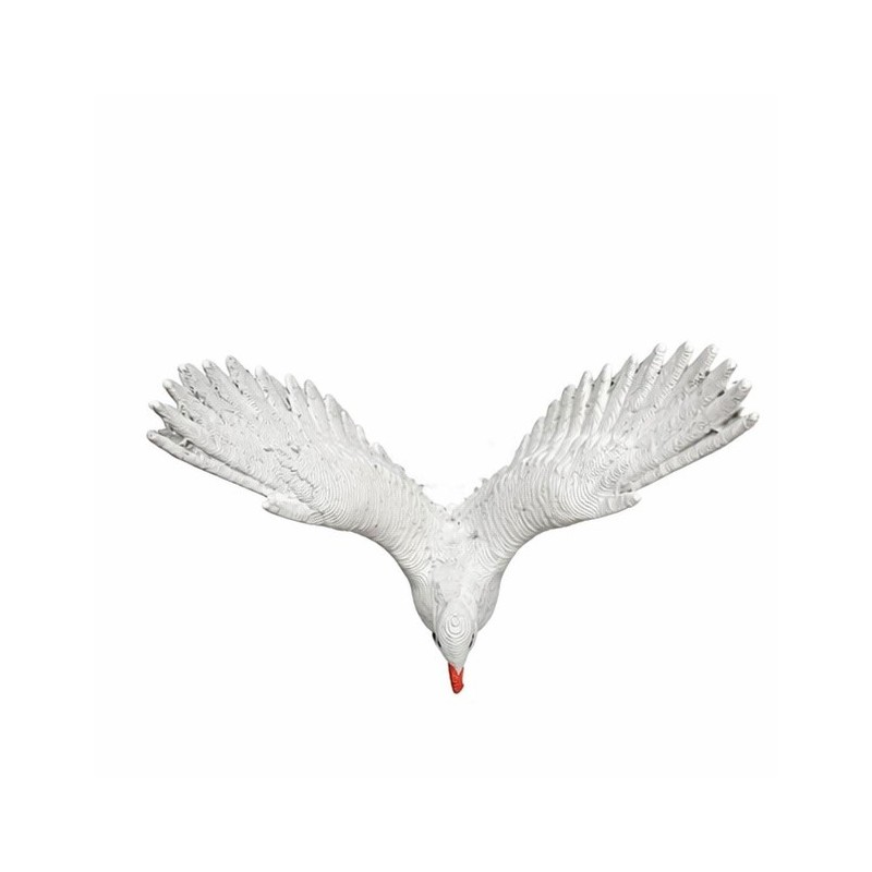 Pomba branca Espírito Santo