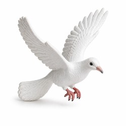 Paloma blanca Espíritu Santo