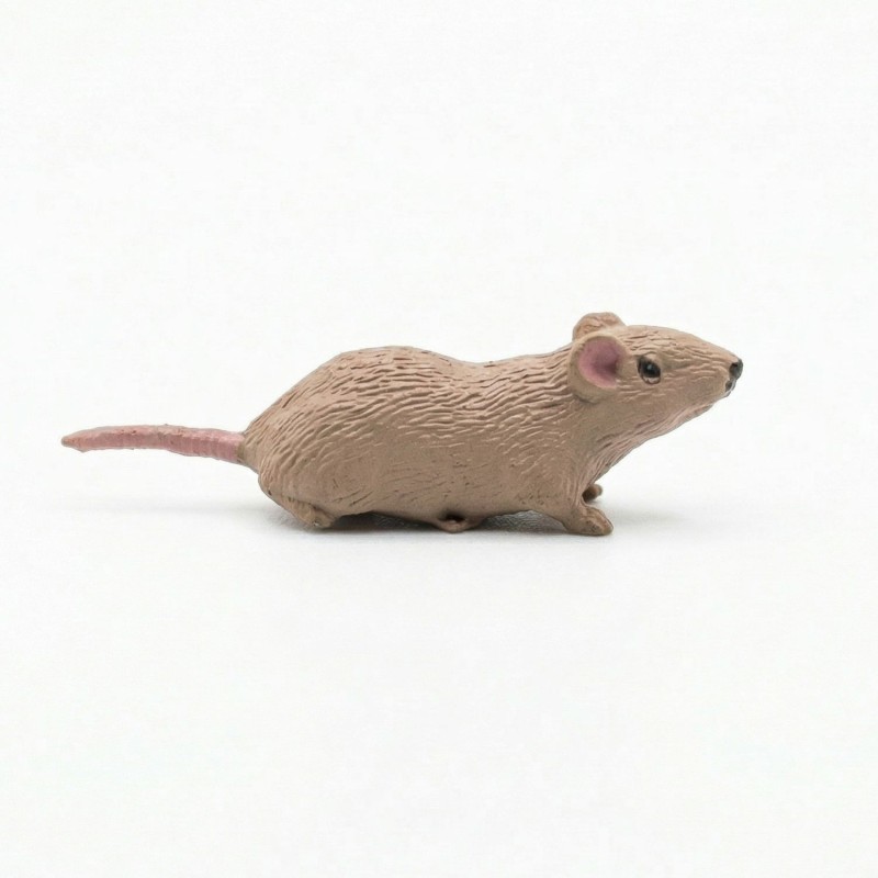 Rato Mod.1
