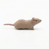 Rato Mod.1