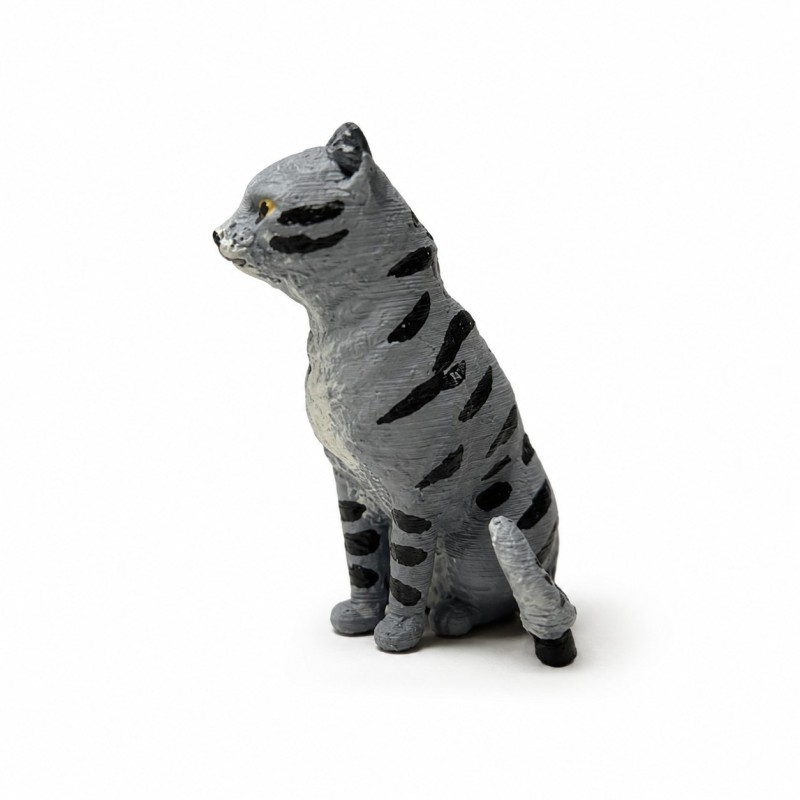 Gato MOD1