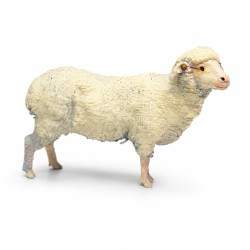 Oveja MOD1